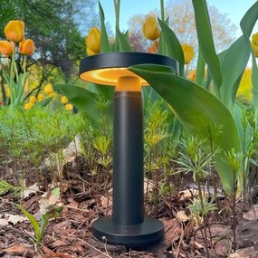 Zuma Line DT33611 - Lampada solare LED CARLI LED/2W/2000 mAh IP44 nero