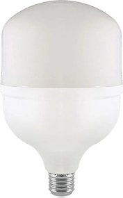 Lampadina LED T160 E27/60W/230V 6500K