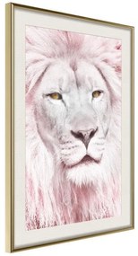 Poster  Dreamy Lion  Cornice Quadri Cornice d'oro con passe-partout, Larghezza x Altezza Home decor 40x60