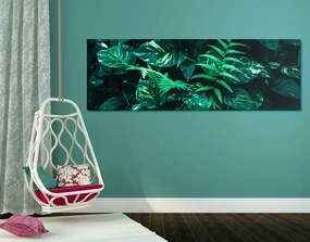 Quadro su tela – Foglie tropicali fresche