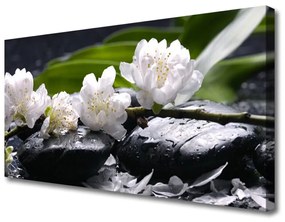 Stampa quadro su tela Pietre di fiori 100x50 cm