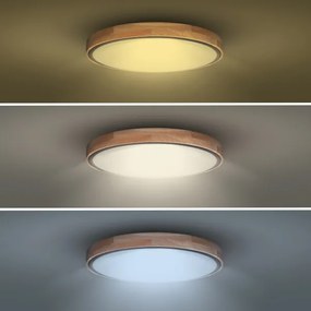 Solight WO8005 - Lampada LED dimmerabile IRON OAK 48W/230V 3000-6500K Ø40 cm+DO