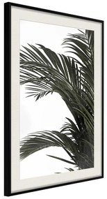 Poster  Jungle Scent  Cornice Quadri Cornice nera con pass-partout, Larghezza x Altezza Home decor 30x45