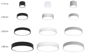 Immax NEO 07143-GR15BD-SET 2x Plafoniera LED RONDATE 12W/230V Tuya grigia + TC