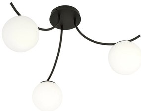 Plafoniera Moderna 3 Luci Coeo In Acciaio Nero E Diffusori In Vetro Opale
