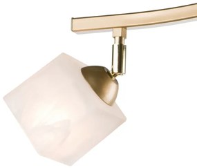 Faretto KLARA 3xE14/40W/230V oro