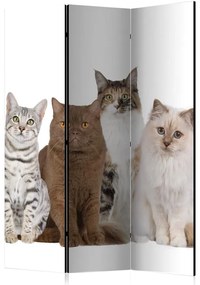 Paravento Sweet Cats [Room Dividers]