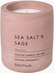 Candela profumata Fraga (salvia & erbe aromatiche)