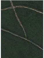 Élitis Carta da parati Kintsugi - VP 1004 67