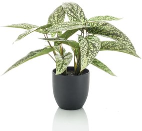 Calathea Artificiale Dots 38 Cm İn Vaso /