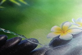 Quadro su tela – Armonia nel giardino Zen