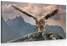 Stampa su tela – Aquila con ali spiegate sopra le montagne