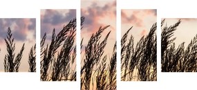Quadri 5 pezzi – Erba al tramonto