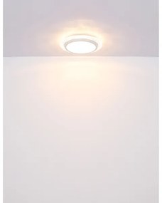 Globo 48294-22 - Plafoniera LED ABIGAIL LED/22W/230V 3000K diametro 40 cm