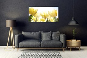 Quadro acrilico Tulipani, fiori, raggi 100x50 cm
