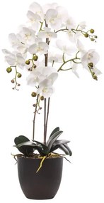 Composizione di piante artificiali senza vaso Phalaenopsis H 40
