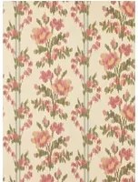 Sanderson Carta da parati Apothecary Rose - Rose Chintz