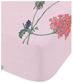 Lenzuolo singolo elasticizzato per bambini 90x190 cm Butterfly Garden - RHS