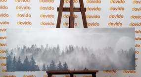 Quadro su tela – Nebbia sopra la foresta in bianco e nero