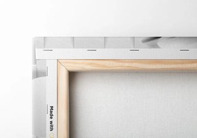 Quadro su tela – Magnolia in bianco e nero con elementi astratti