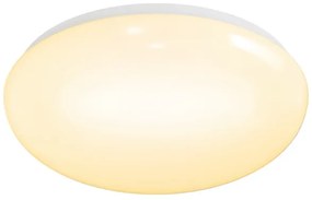 Aigostar - Plafoniera LED/12W/230V 3000K Ø 28 cm