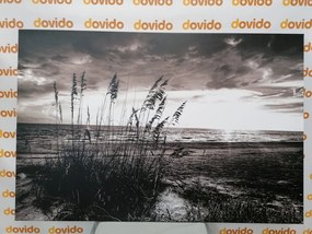 Stampa su tela – Tramonto sulla spiaggia in bianco e nero