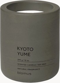 Candela profumata Fraga (Kyoto Yume)