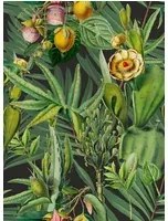 Mindthegap Carta da parati Luscious Flora - WP20518