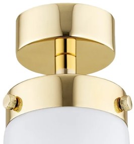 Argon 8005 - Surface-mounted lampadario PASADENA 1xE27/15W/230V oro/bianco