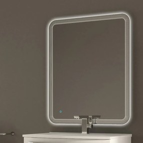 Specchio con illuminazione integrata bagno rettangolare BADEN HAUS L 74 x H 90 x P 2 cm trasparente