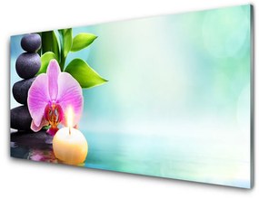Pannello retrocucina Orchidea dell'acqua della natura 100x50 cm