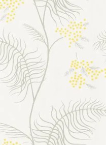 Cole & Son Carta da parati Mimosa - Creme/ Grau/ Gelb