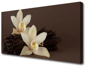 Quadro su tela Fiori di vaniglia per la cucina 100x50 cm