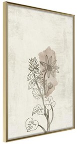 Poster  Life of Plants  Cornice Quadri Cornice d'oro, Larghezza x Altezza Home decor 20x30