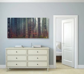 Quadro su tela – Mistero della foresta