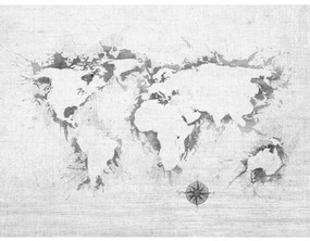 Carta da parati Contorni di continenti - mappamondo con ombreggiatura su sfondo grigio