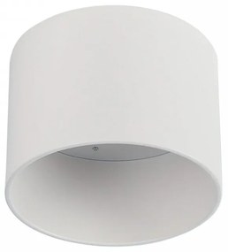 Applique da soffitto per lampade AR111 Fissa Bianca Colore del corpo Bianco