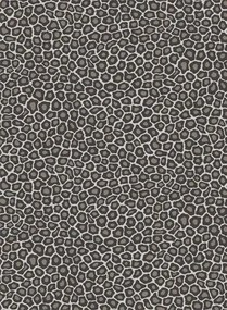 Tapete Senzo Spot von Cole & Son - Black/ White