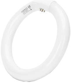 Tubo fluorescente T9 G24q-1/22W/230V 6500K - Aigostar