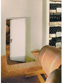 Porta per cantina tamburata battente TAM grigio L 70 x H 205 cm reversibile