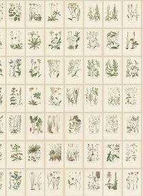 Sandberg Carta da parati panoramica Botanica - Oat