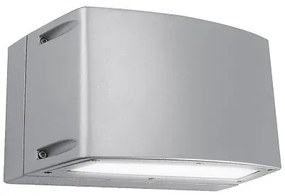 Blues Big Bidirezionale Con 1 Lente A Fascio Stretto E 1 Vetro LED 1X21,6 1x10,8 4000 K