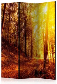 Paravento  Autumn Walk [Room Dividers]  Colore ---, Dimensioni e Misure 135x172