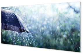 Quadro in vetro Gocce di pioggia da ombrello 100x50 cm