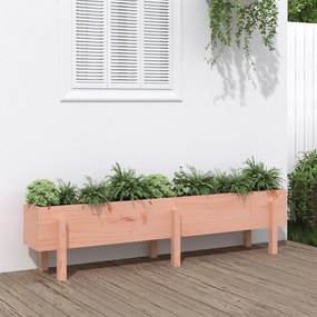 Fioriera Rialzata Giardino 160x30x38 Cm Legno Massello Douglas /