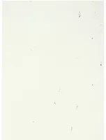 Terrastone Rustique floor - 15kg - 72 - Grasse - 15 kg
