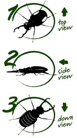 Navir - Explora - 3 Way Viewer