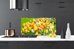 Pannello paraschizzi cucina Tulipani, fiori, natura 100x50 cm