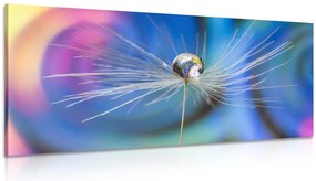 Quadro su tela – Goccia di rugiada su sfondo astratto