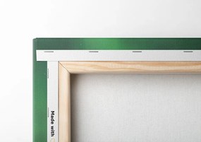 Quadro su tela – Straordinaria aurora verde